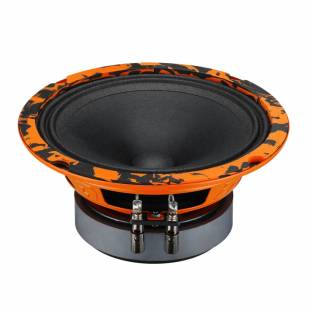 DL Audio Gryphon Pro 165