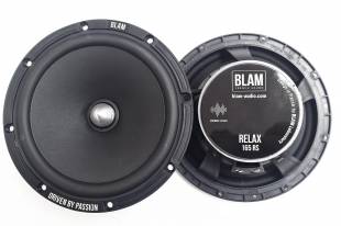 BLAM W165R2