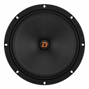 DL Audio Raven 200 V.2