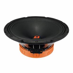 DL Audio Raven 250 V.2