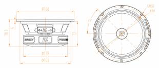 DL Audio Phoenix Sport 165
