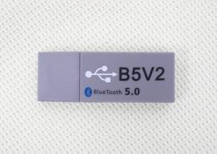AUDIO SYSTEM (Italy) Bluetooth adapter B5V2