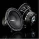 Gladen PRO 10